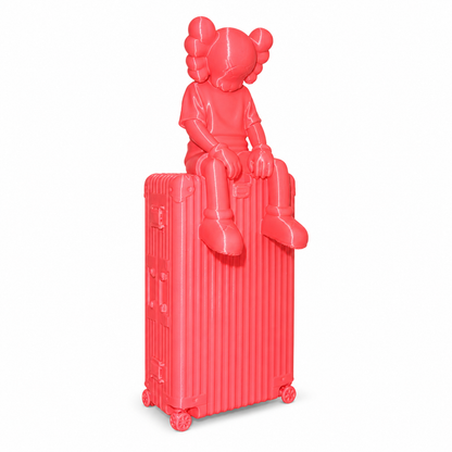Kaws x Rimowe suitcase