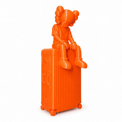 Kaws x Rimowe suitcase